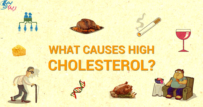 عوامل موثر در ایجاد کلسترول خون بالا
