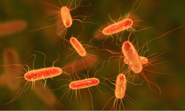 نمونه‌هایی از عفونت‌های باکتریایی 