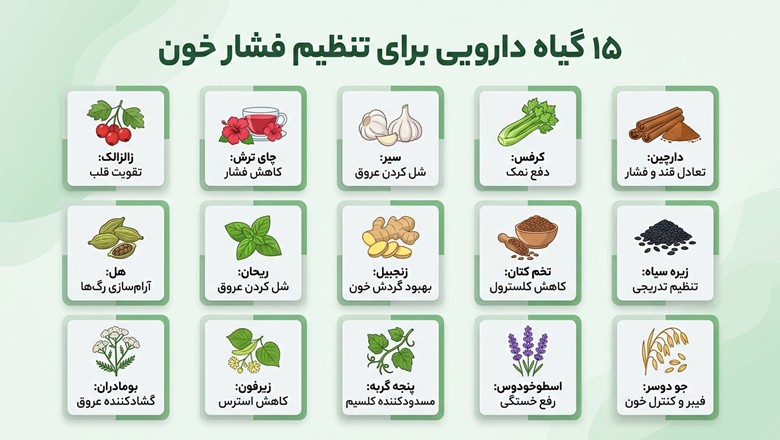 گیاهان دارویی موثر برای تعادل فشار خون
